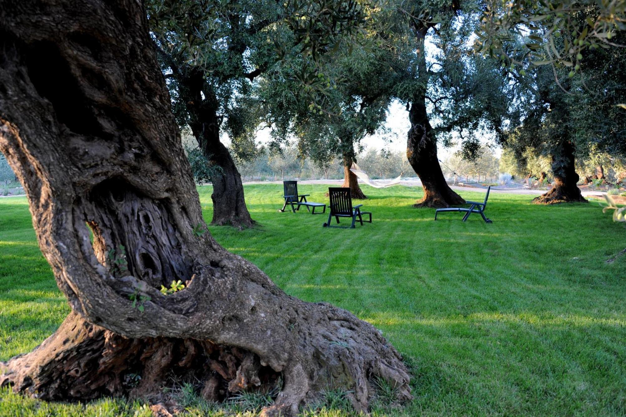 Masseria Lama Di Galizia Ostuni Extérieur photo