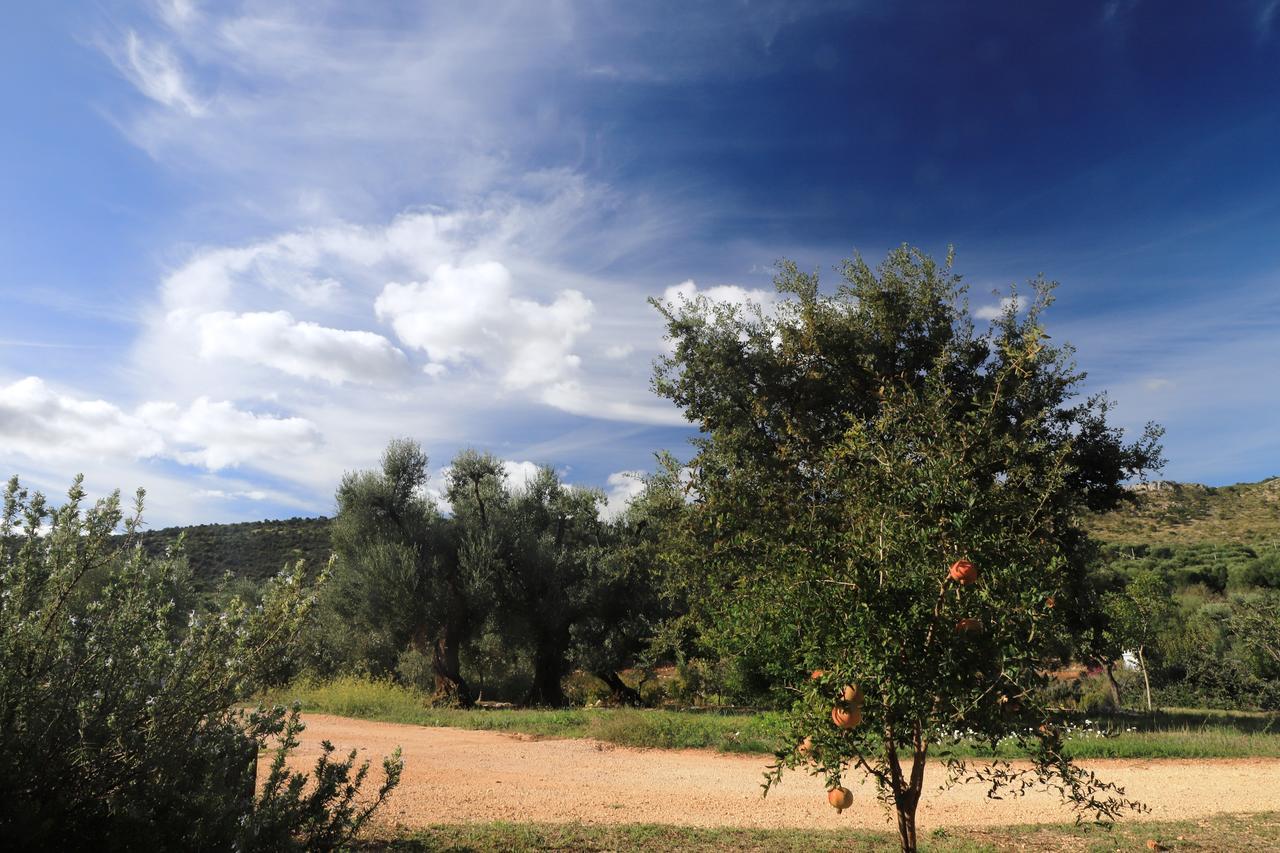 Masseria Lama Di Galizia Ostuni Extérieur photo