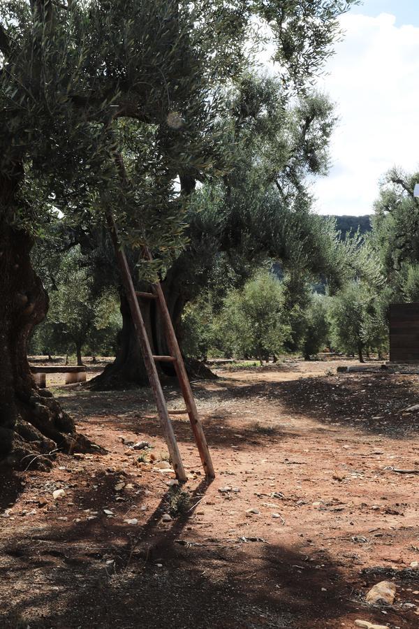 Masseria Lama Di Galizia Ostuni Extérieur photo